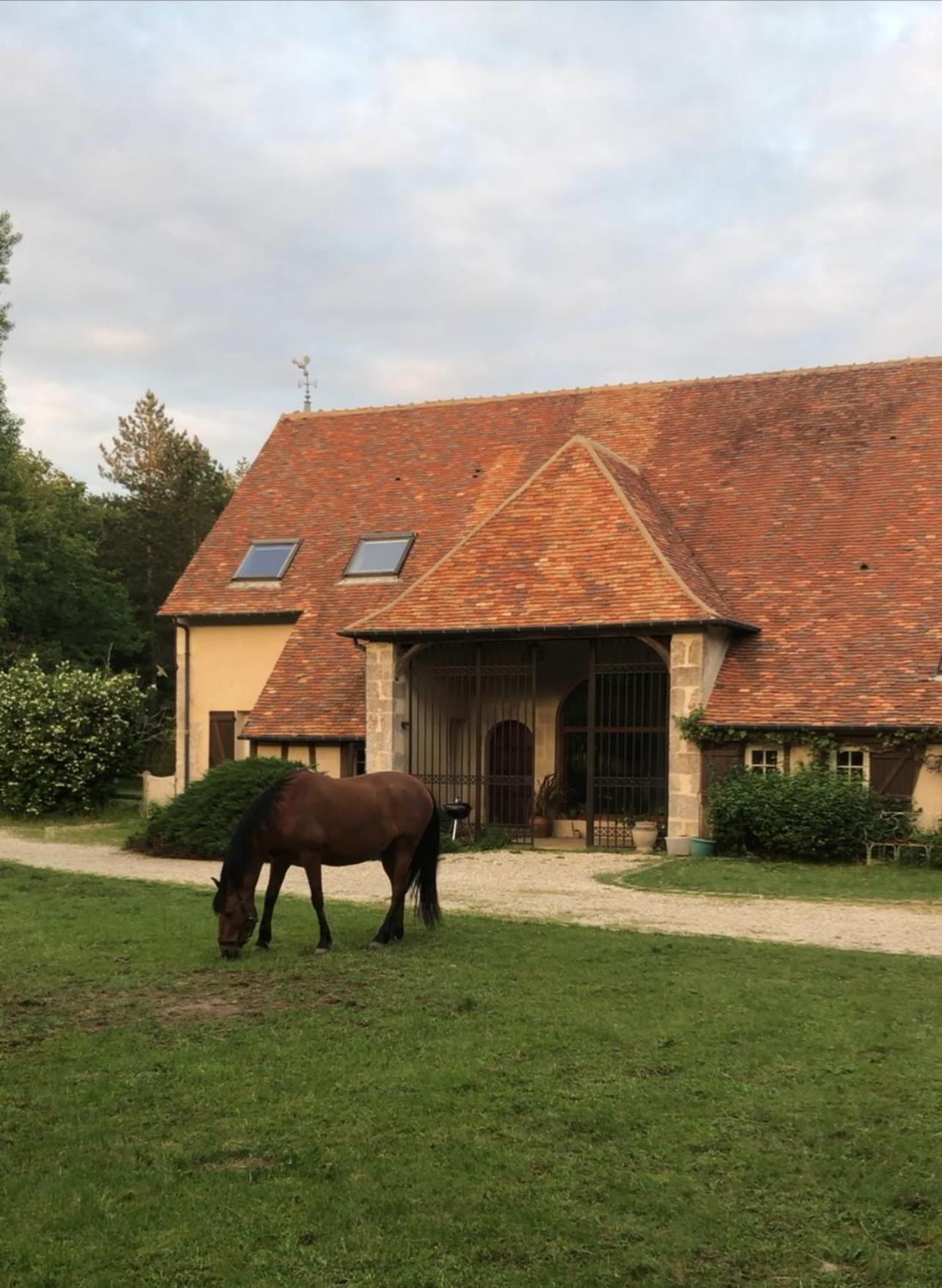 Gite De Charme - La Boursicauderie Hotel Rogny-les-Sept-Ecluses Exterior photo